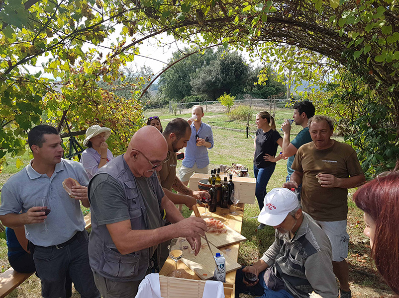 Harvest time at Borgo Pignano