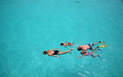 Snorkeling near andBeyond Mnemba Island