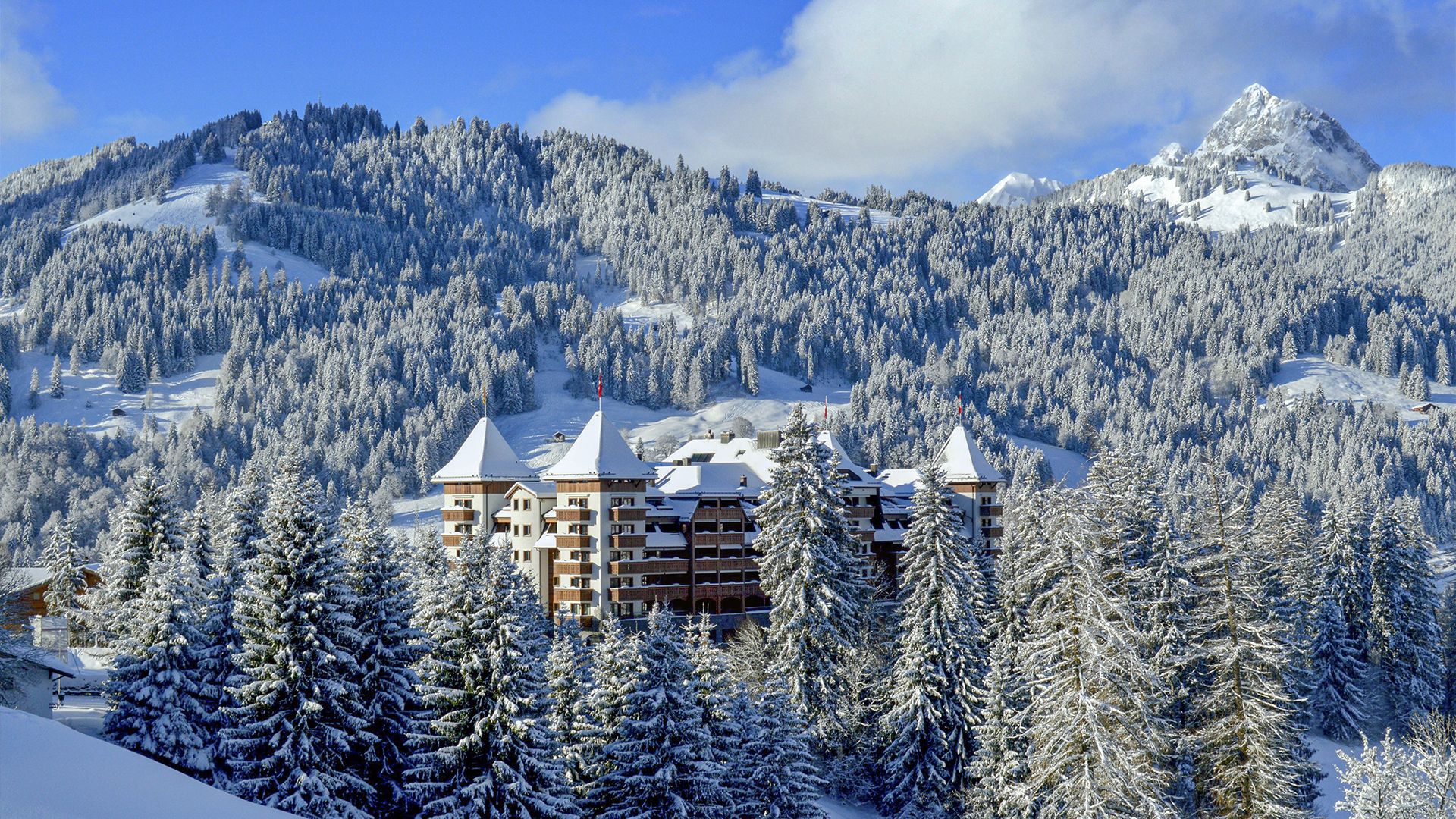 alpina gstaad in winter