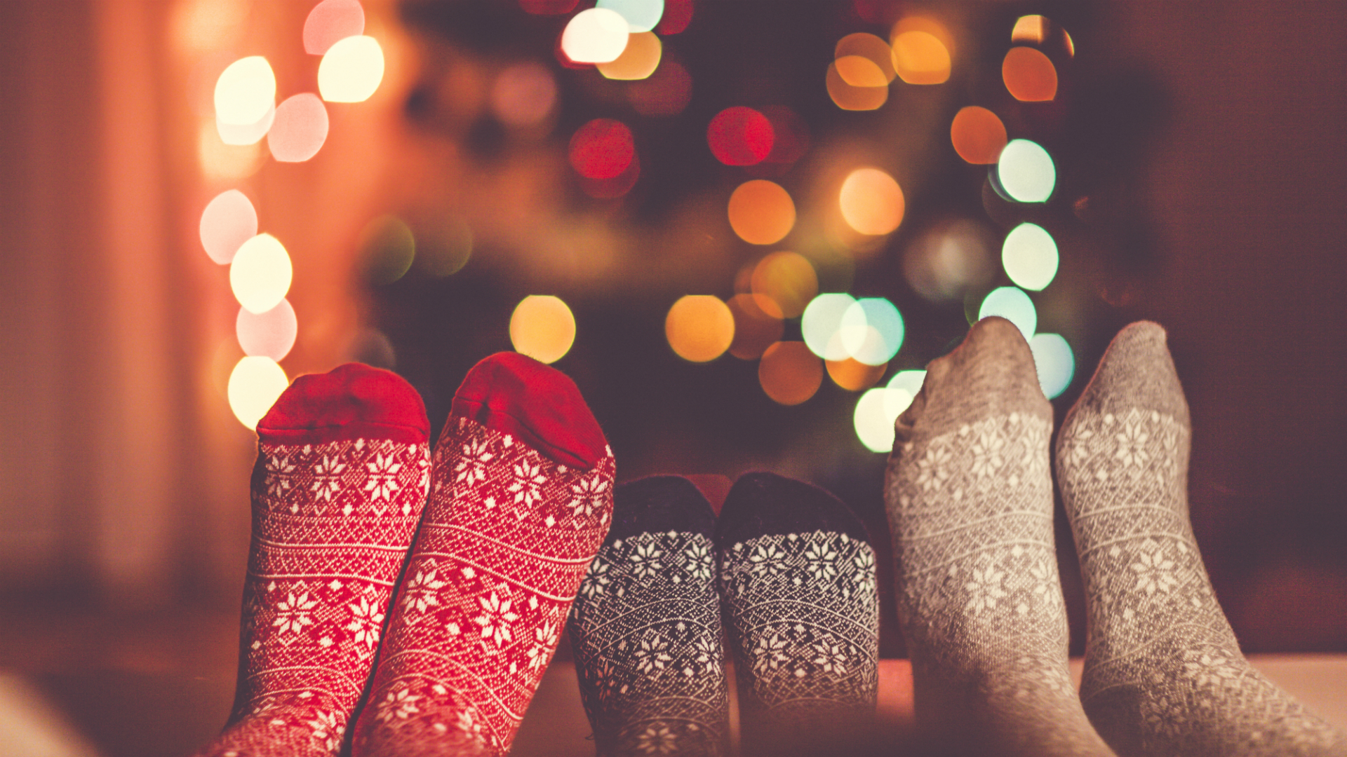 holiday family festive socks