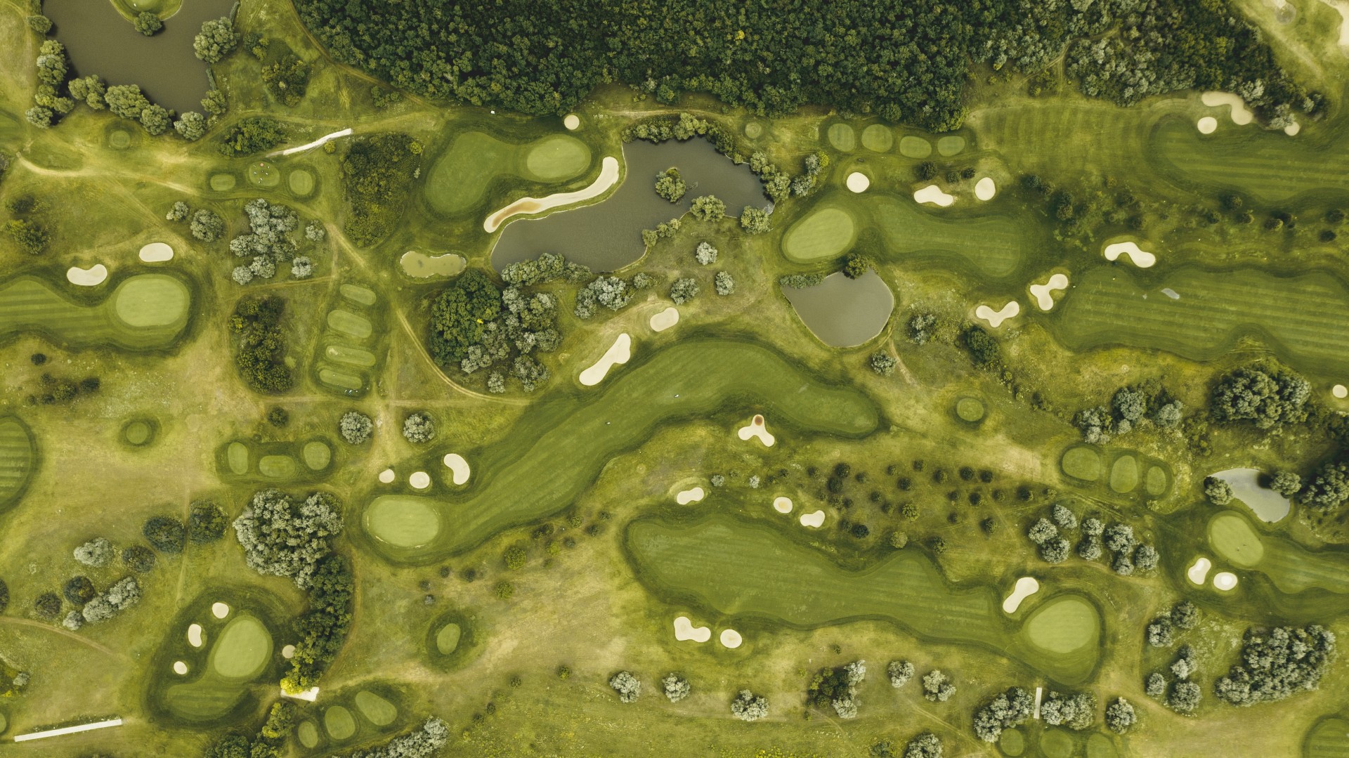 overhead view of golf course
