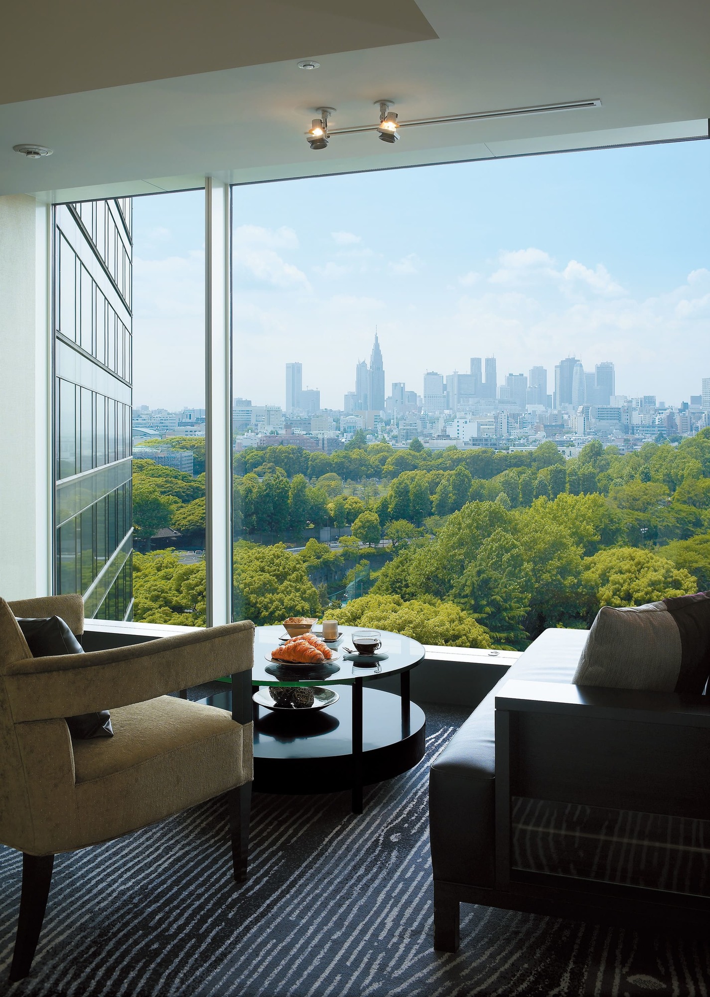 Executive Lounge View