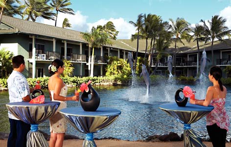 The Kahala Hotel & Resort Dolphins Pool