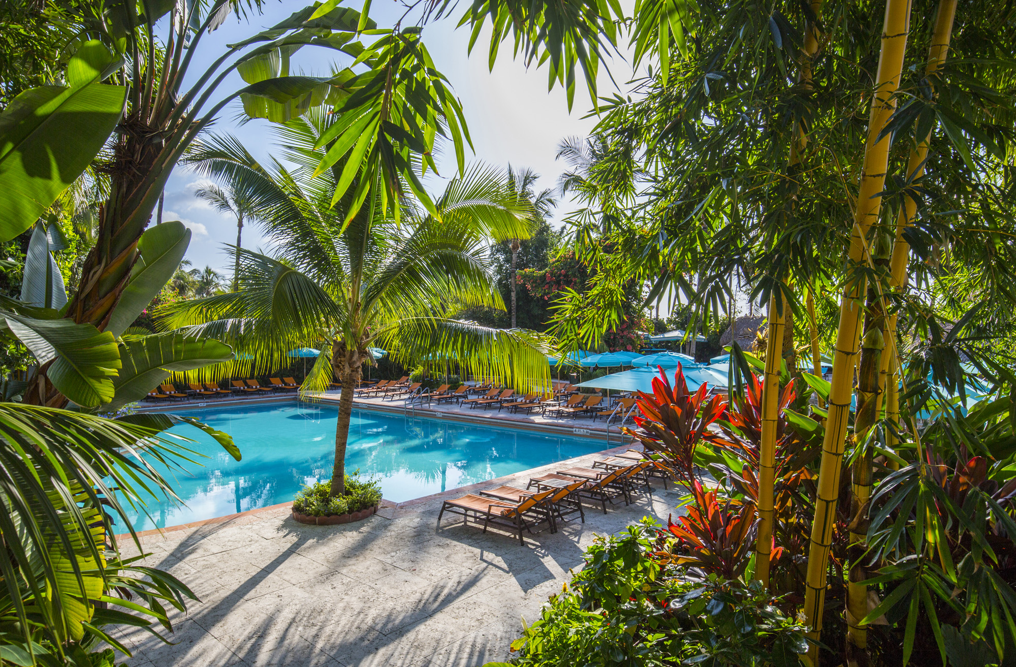 Hotel Palms Tropical Pool