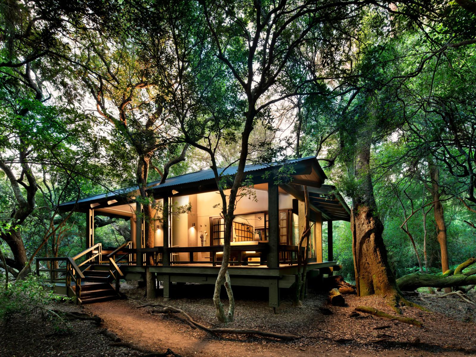 AndBeyond Phinda Forest Lodge In Hluhluwe South Africa Beyond Green andbeyond-phinda-forest-lodge-in-hluhluwe-south-africa-beyond-green