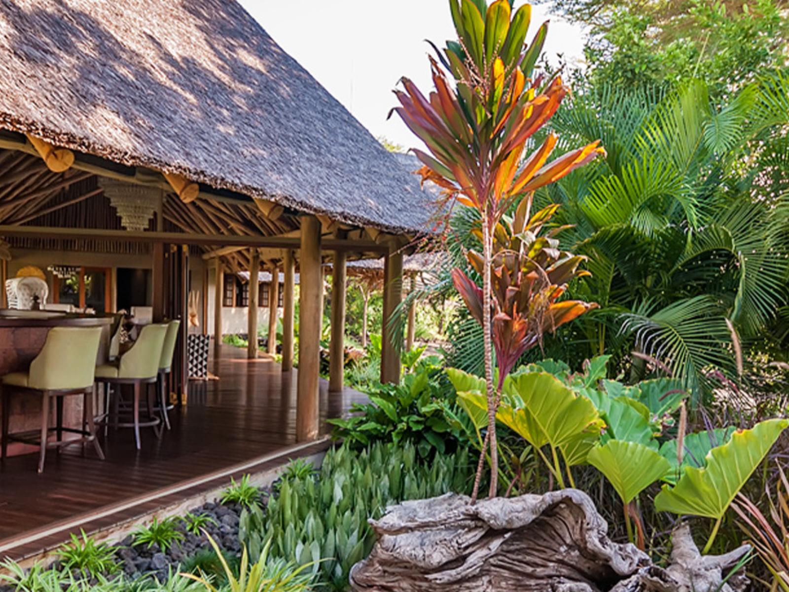 Finch Hattons Luxury Safari Camp Bar