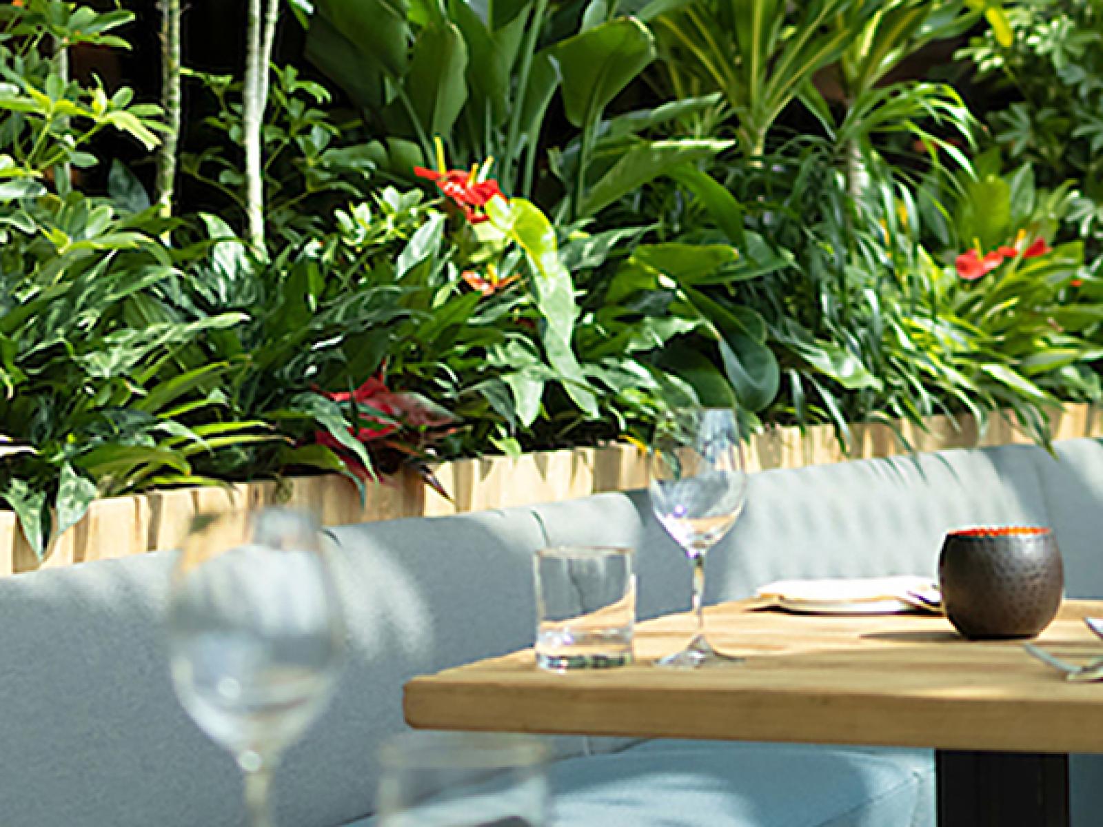 Dusit Thani Laguna Singapore Dining