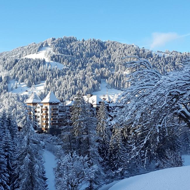 The Alpina Gstaad during winter