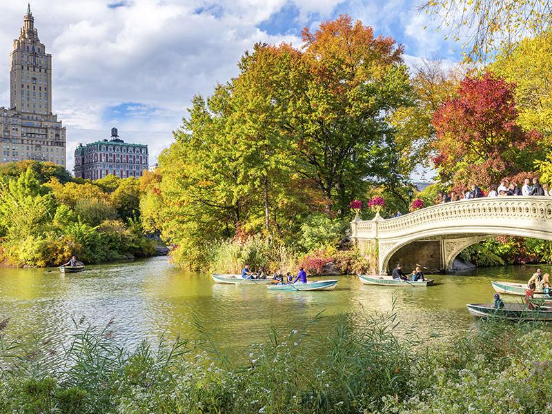 Check out Central Park, while visiting New York.