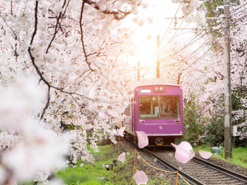 How to Get Around in Tokyo