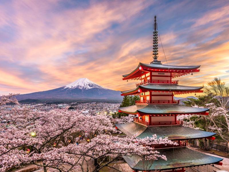 Discover Destinations in Tokyo