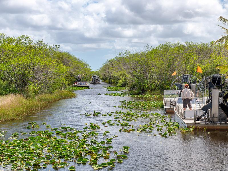 What to see while visiting Miami