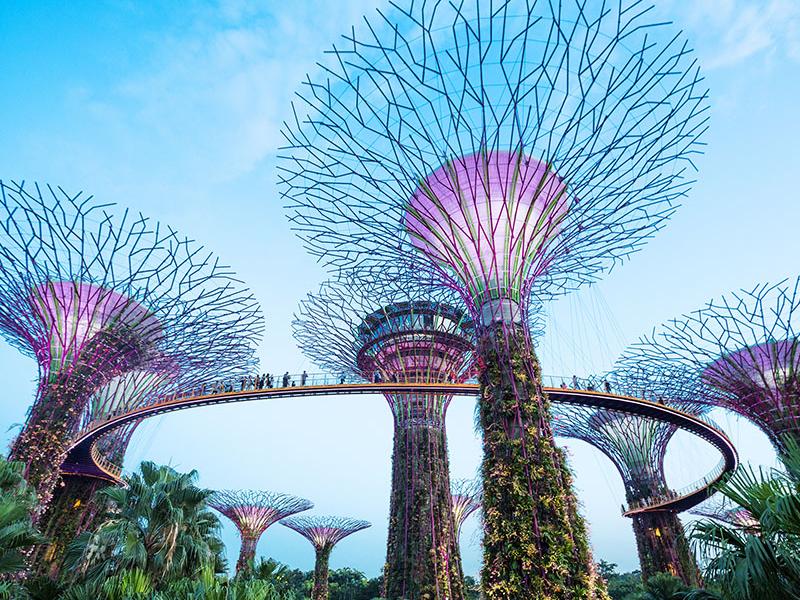 What to See in Singapore