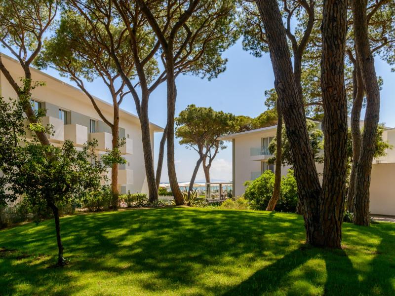 The Sense Experience