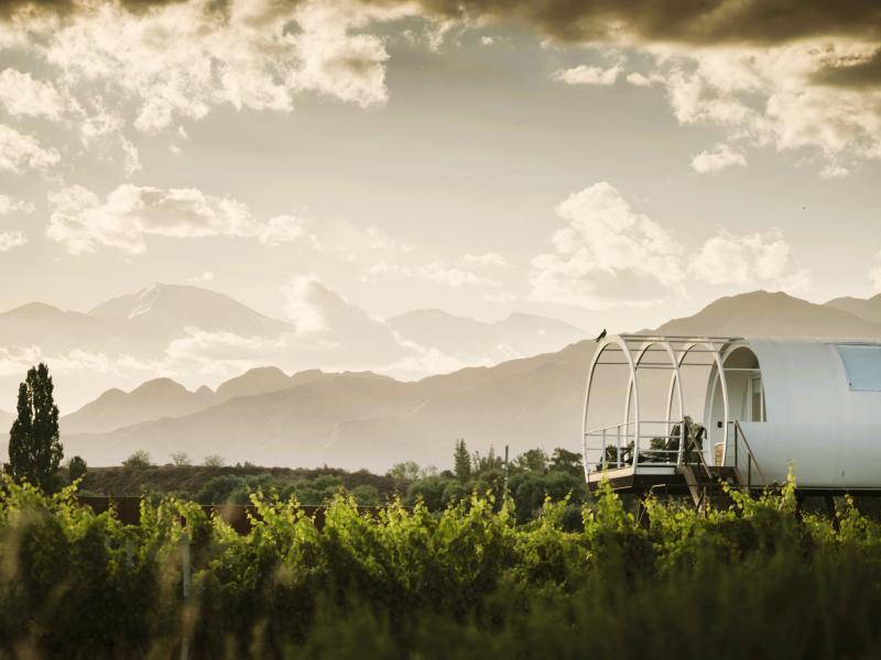 Loft and Vineyard View