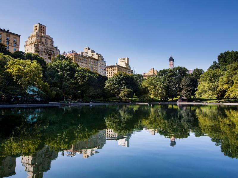 The Mark Exterior Far Shot