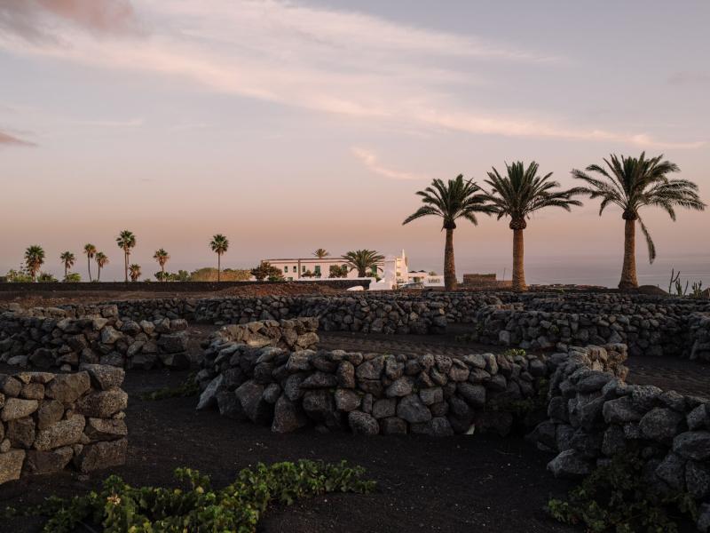 Exterior with Vineyards