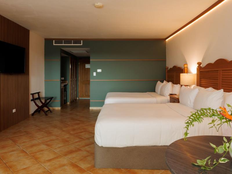 King Deluxe Garden View Guestroom