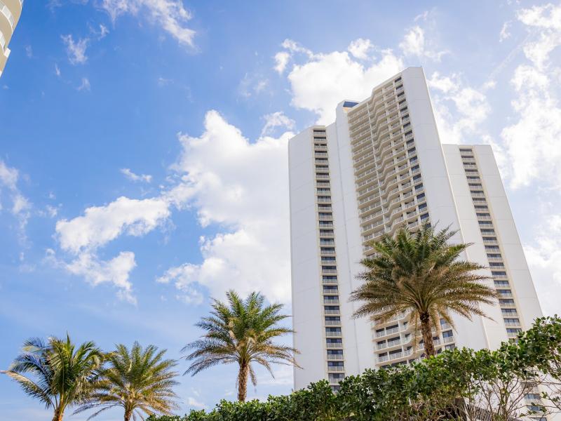 Exterior Ants-eye View