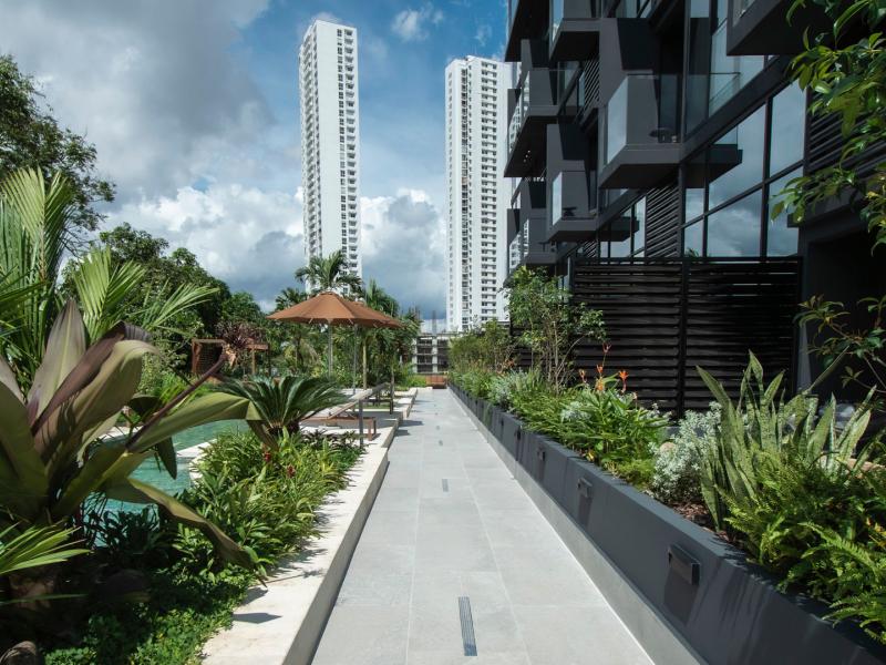 Dovle Branded Residences garden walkway framed by lush tropical plants and sleek modern architecture for a tranquil stroll.