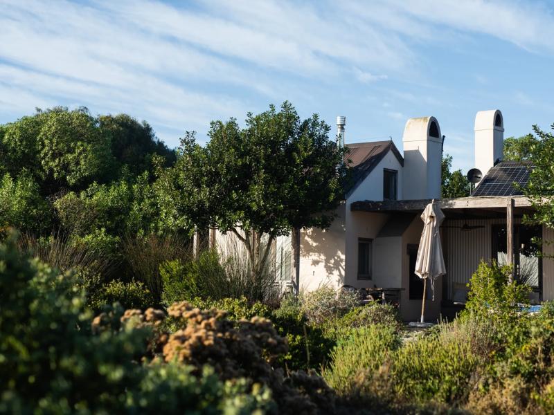 Yellowwood Cottage exterior showcases distinctive Cape Dutch-inspired architecture with its iconic whitewashed walls, elegant twin chimneys, and steeply pitched gable roof, complemented by natural wood accents and a shaded patio for a timeless, rustic appeal.