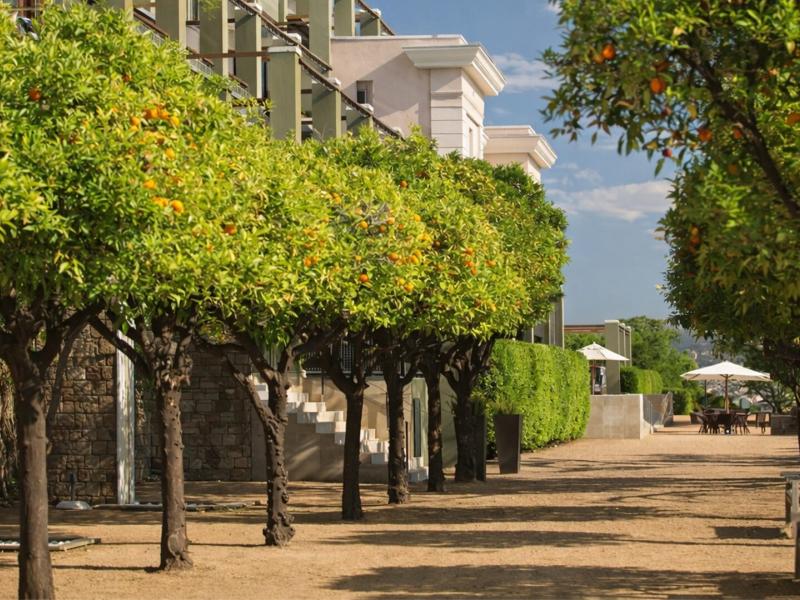 The sunlit Los Naranjos promenade of Hotel Miramar Barcelona lined with orange trees showcases charming stone pathways, manicured greenery, and crisp architectural lines accented by vibrant citrus orange, leafy green, and soft beige tones.