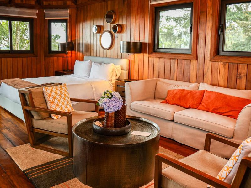 This inviting Treehouse Suite living area highlights rich wood-paneled walls, expansive windows, and comfortable lounge seating, accented with creamy neutrals, burnt orange, and soft botanical greens.