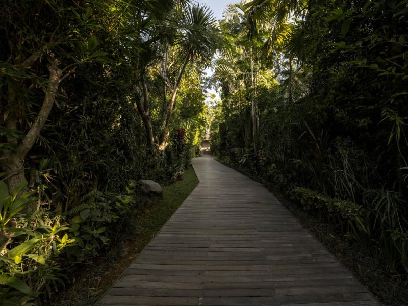 A serene wooden walkway at Ametis Villa Bali winds through a dense tropical garden, framed by rich emerald foliage, dark wood tones, and dappled sunlight in soft gold.