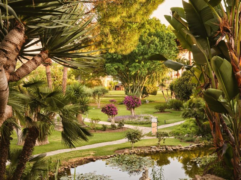 Don Carlos Marbella serene garden oasis unfolds with winding stone paths, tranquil water features, and lush palms layered in rich emerald green, golden sunlight, and soft floral accents.