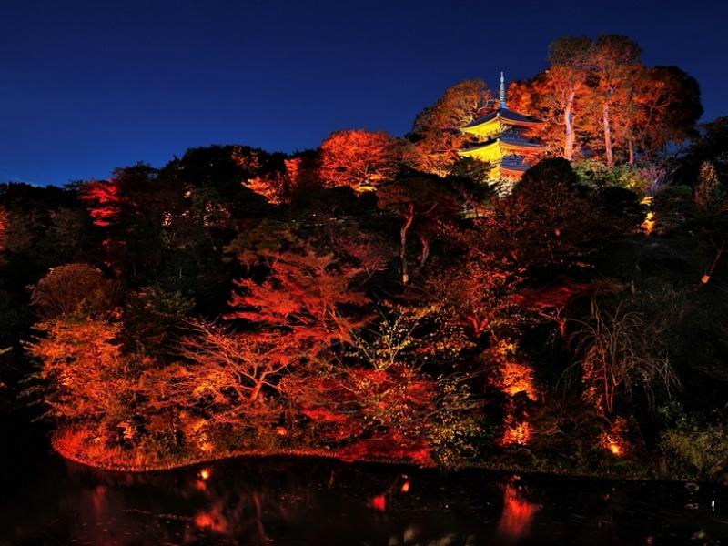 Garden light at night