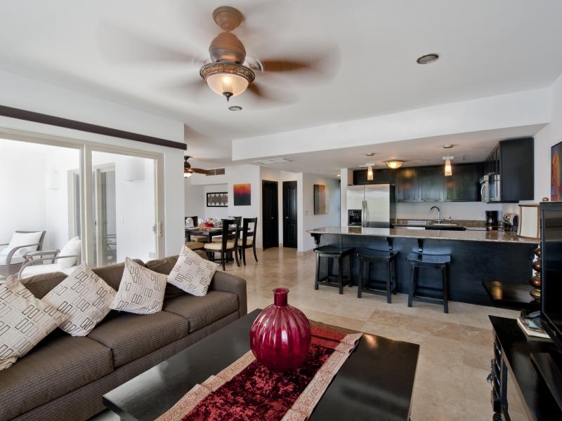 Suite LIving Area and Kitchen