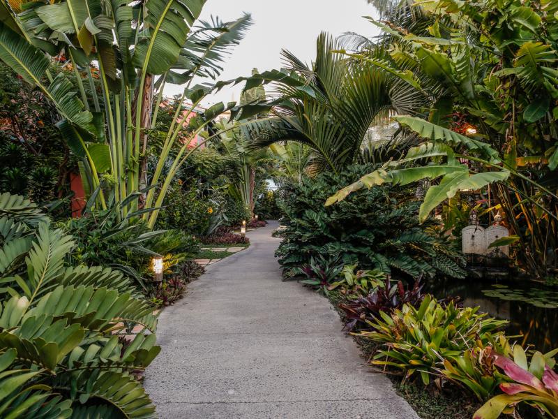 Hotel Hacienda de Abajo Garden Path