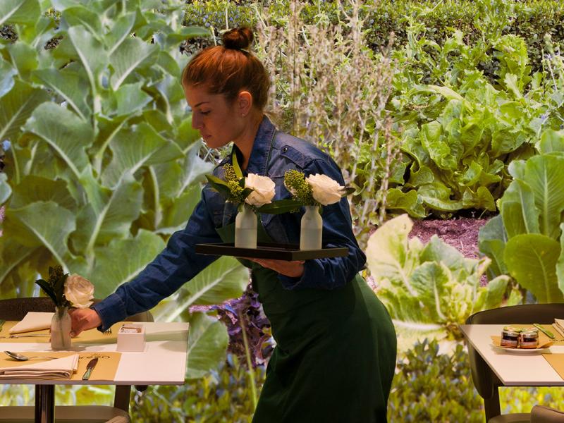 Orto Green Food & Mood Restaurant