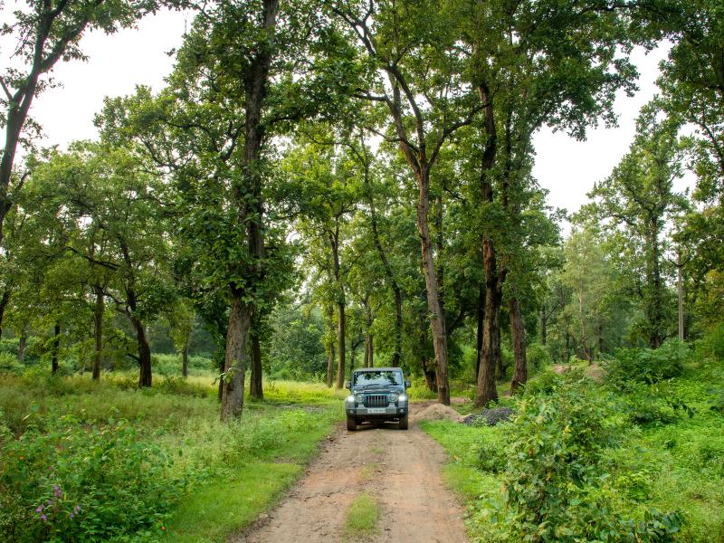 Hidden India Mahavan Trail