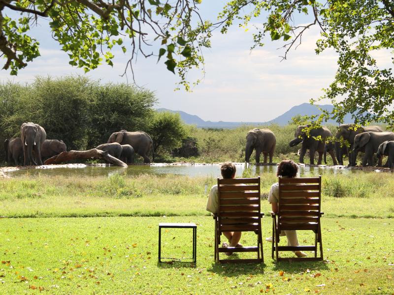 Last Word Madikwe Bush House Elephant watching