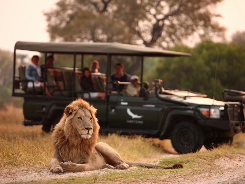 andBeyond Sandibe Okavango Safari Lodge Game Drive
