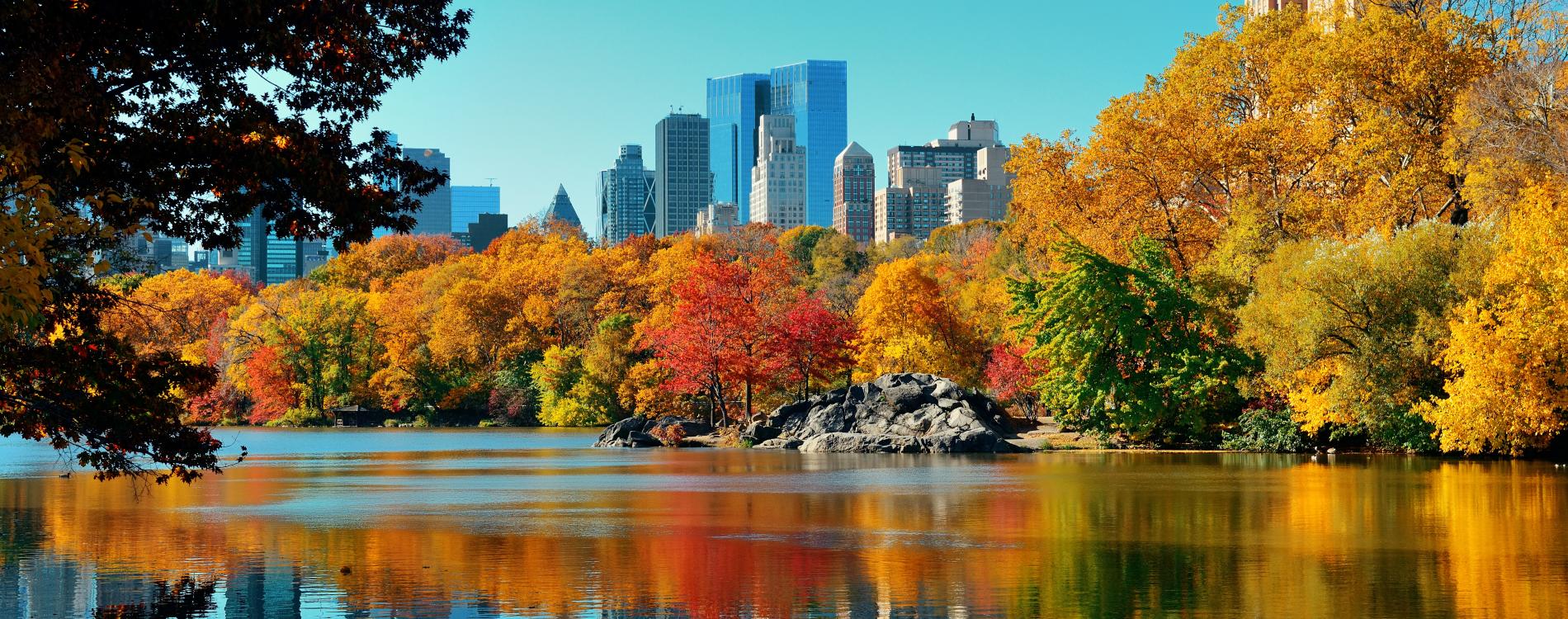 New York in the fall, leaves in Central Park