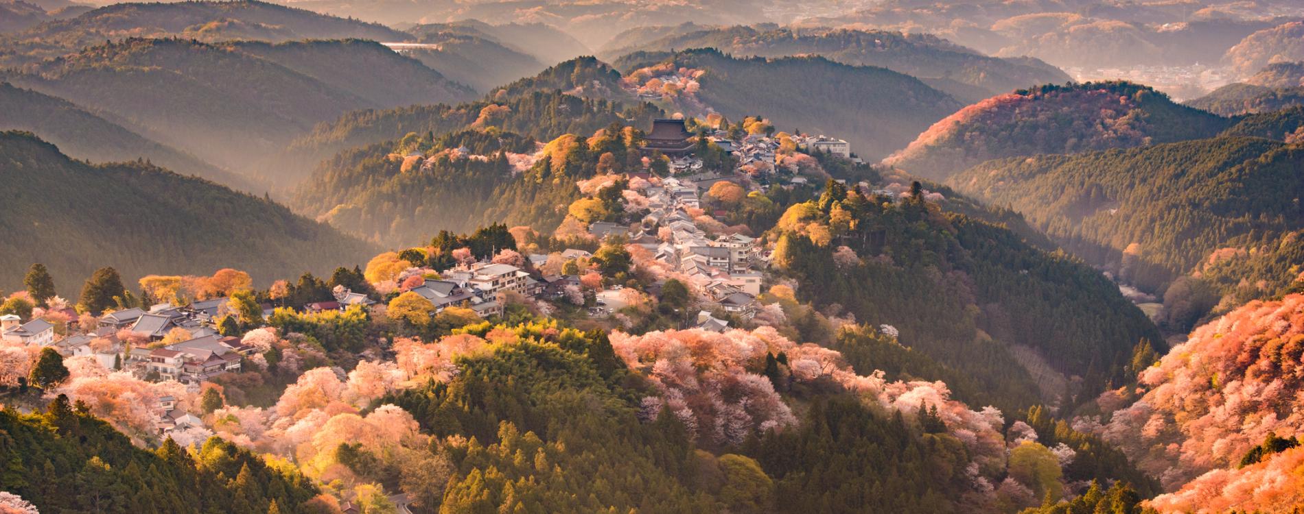 Cherry Blossoms in Japan | Preferred Hotels & Resorts