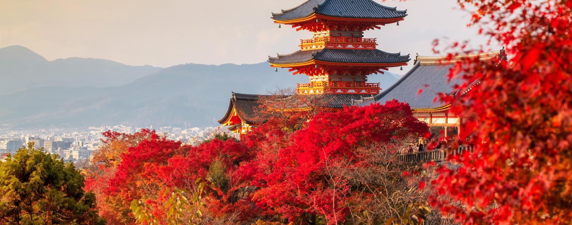 Tokyu Hotels | Preferred Hotels and Resorts