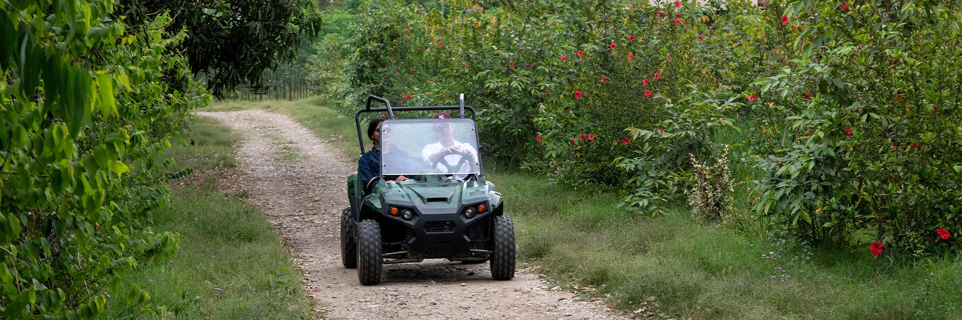 Aalia Jungle Retreat & Spa Activities