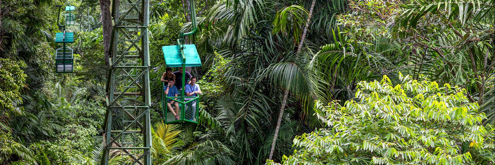 Gamboa Rainforest Reserve Activities