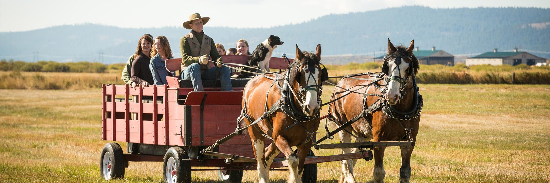 The Retreat at Silvies Valley Ranch Activities