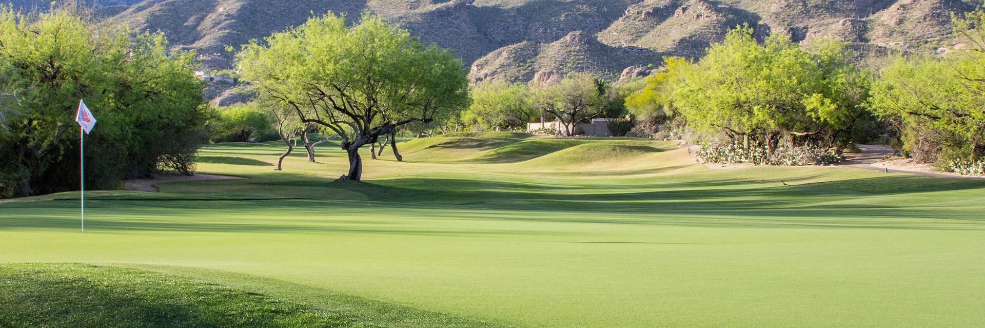 Ventana Canyon Club and Lodge Golfcourse