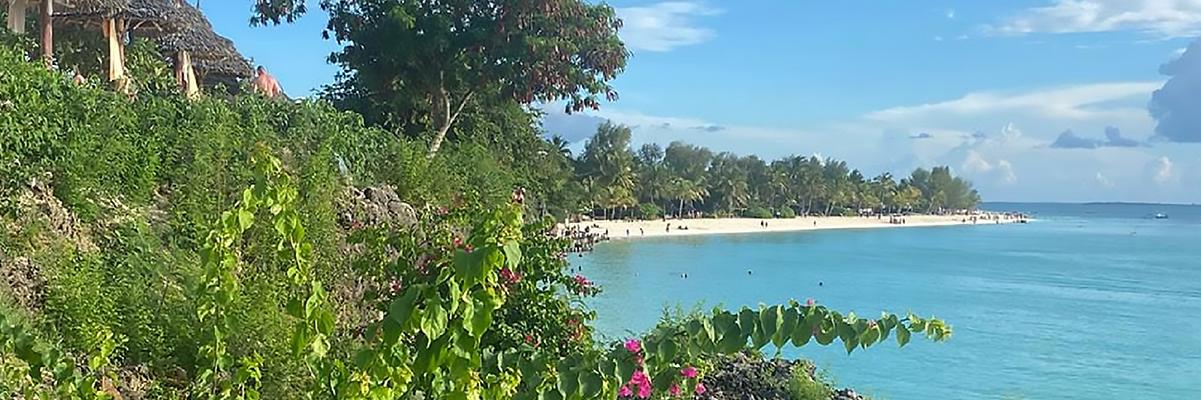 TOA Hotel & Spa Activities