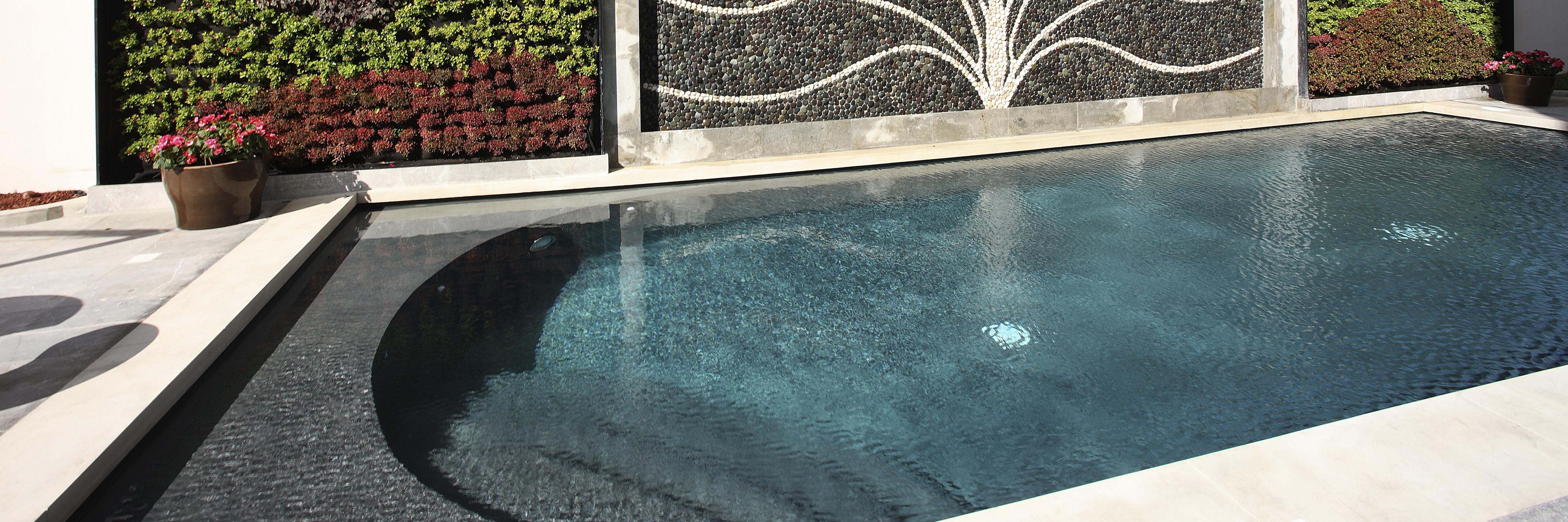 HS HOTSSON Hotel Queretaro Pool