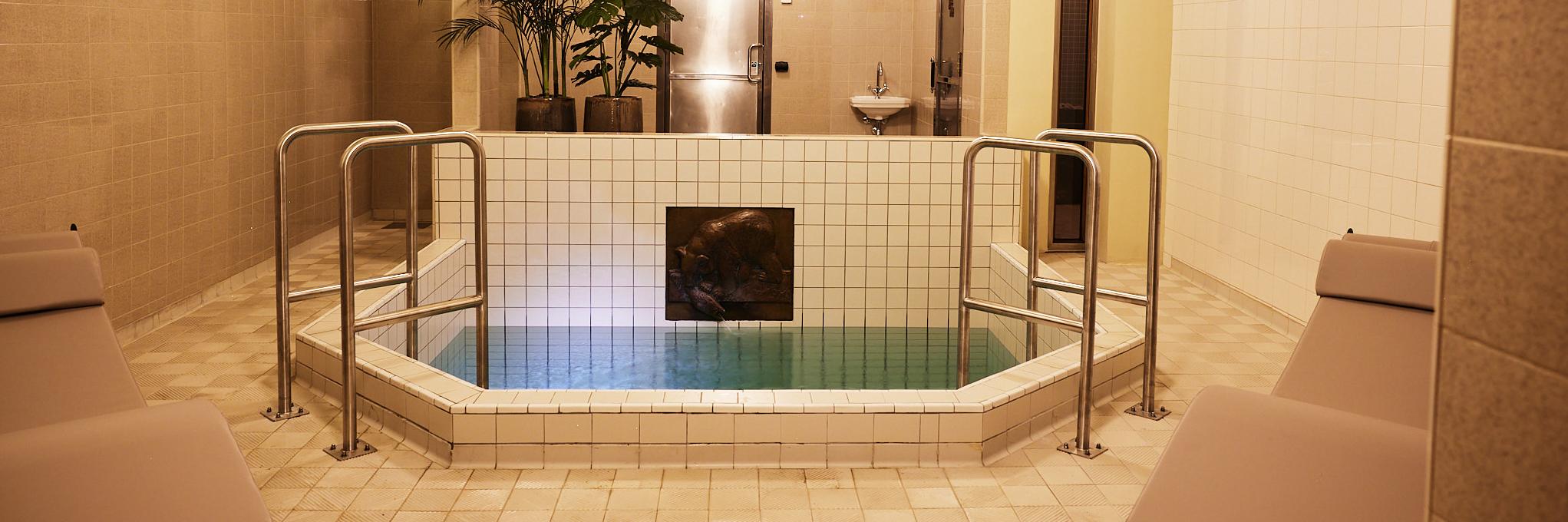 Sommerro Cold Plunge Pool