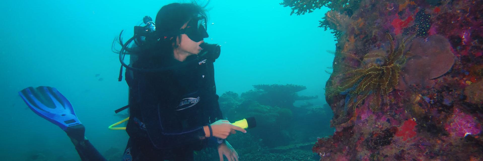 Gayana Marine Resort Scuba