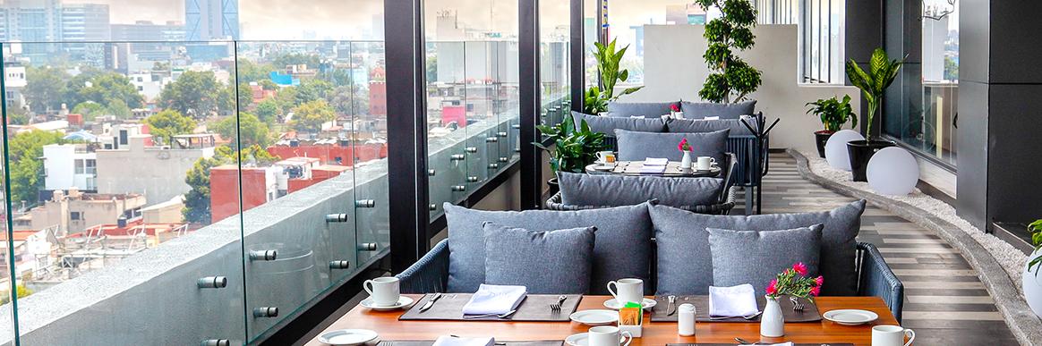HS HOTSSON Hotel CDMX Condesa Sur Activities