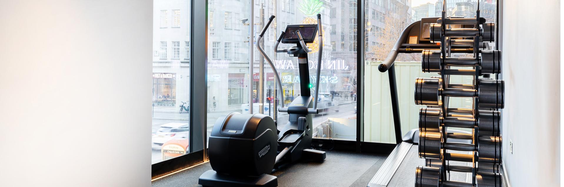 Hotel Saint Fitness Room