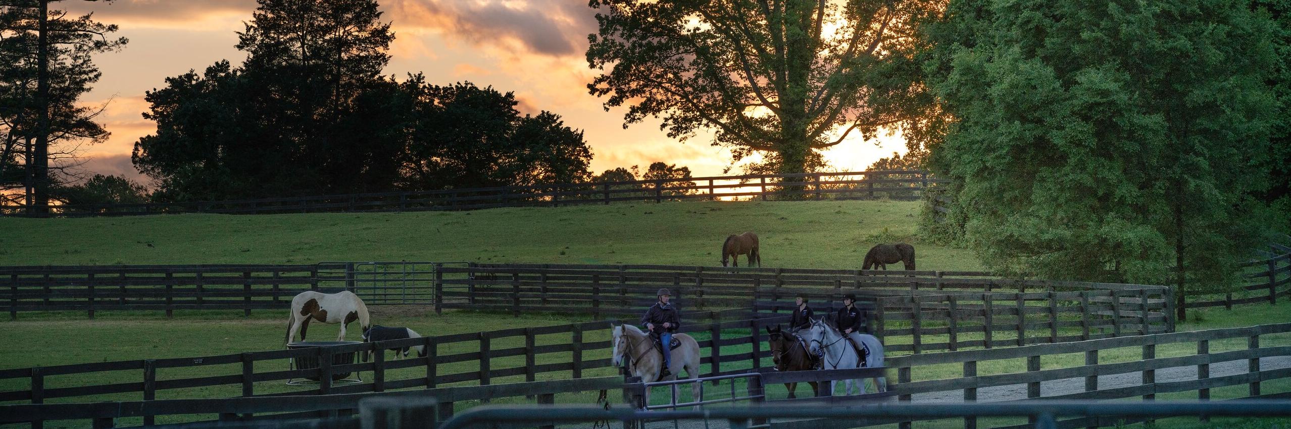 Salamander Middleburg Horseback Riding